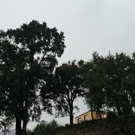 Refugio Do Sobreiro Villa Cabeceiras de Basto Bagian luar foto