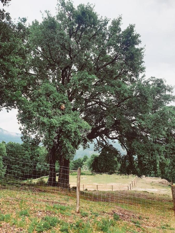 Refugio Do Sobreiro Villa Cabeceiras de Basto Bagian luar foto